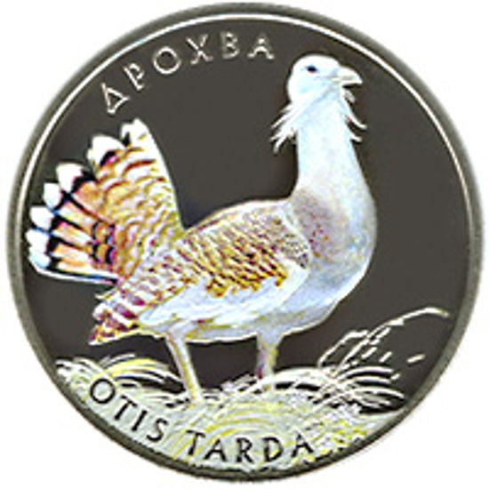 Picture of Памятная монета "Дрофа"  (Дрохва)
