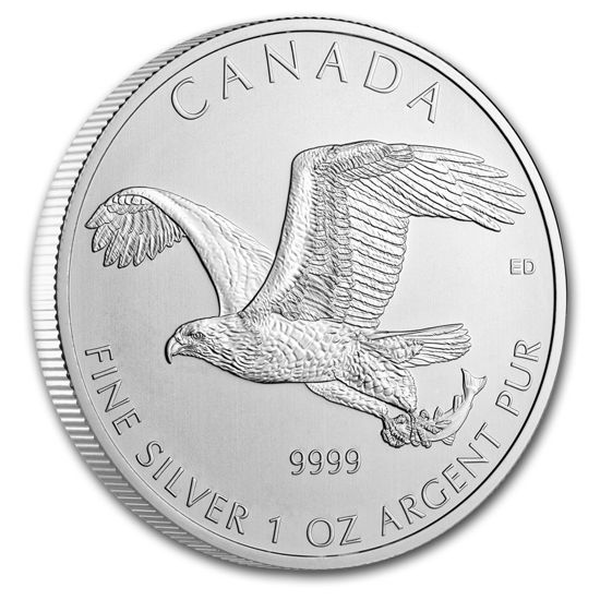 Picture of Канада. (серия хищных птиц) Белоголовый орел