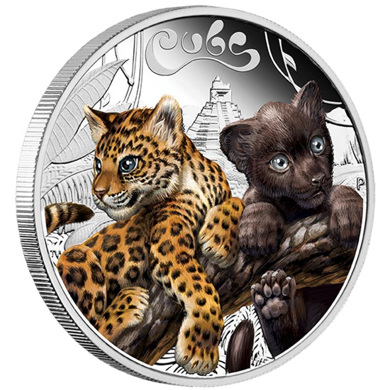 Picture of cubs Jaguar серия детеныши кошачих