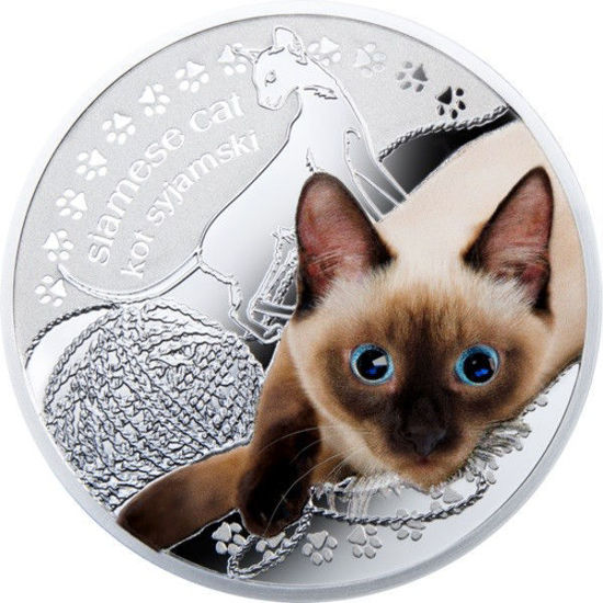 Picture of Серебряная монета "Сиамская кошка" серия Лучшие друзья человека - кошки