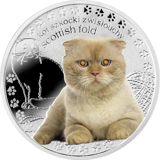 Picture of Серебряная монета "Скоттиш фолд" серия Лучшие друзья человека - кошки