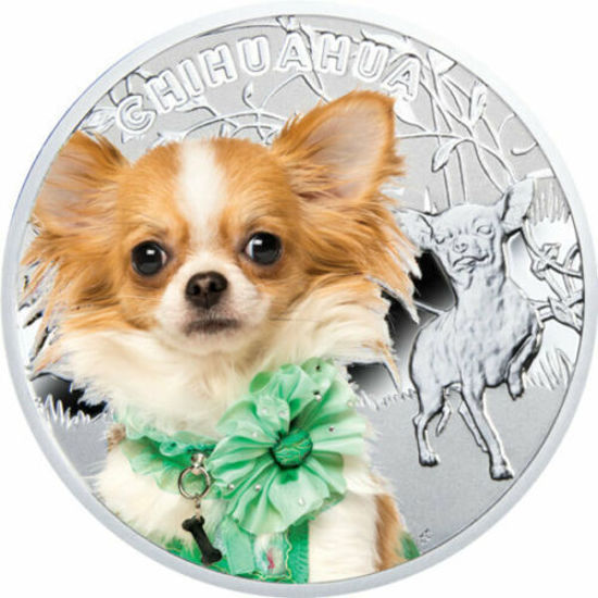Picture of Срібна монета "Чихуахуа" серія "Кращі друзі людини - собаки" 17,50 грам