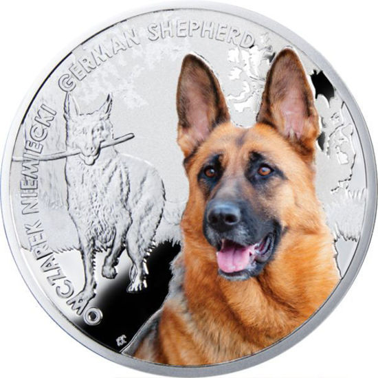 Picture of Срібна монета "Німецька вівчарка" серія "Кращі друзі людини - собаки" 17,5  грам