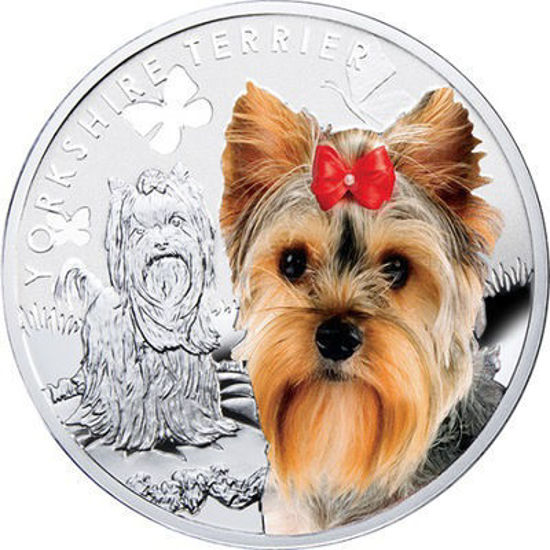 Picture of Срібна монета "Йоркширський тер'єр" серія "Кращі друзі людини - собаки" 17,5 грам