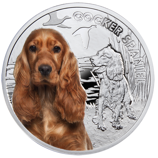 Picture of Срібна монета "Кокер спаніель" серія "Кращі друзі людини - собаки" 17,5 грам