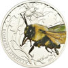 Picture of Серебряная монета "Мохнатый Шмель" серия Мир насекомых  15,5 грамм, Палау 2011 г.