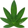 Picture of Монета "Конопля - Маріхуана - Cannabis sativa" 17 грам, 2011 р