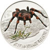 Picture of Срібна монета "Мексиканський  Тарантул" серії Отруйні павуки 15,55 грам