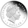 Picture of Серебряная цветная монета "Плащеносая ящерица" Австралия 2010 31.1 грамм