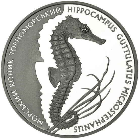 Picture of Памятная монета "Морской конёк"