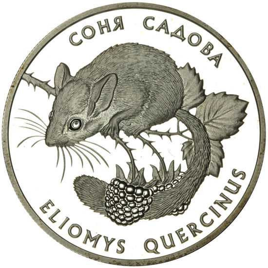 Picture of Памятная монета "Соня садовая"