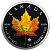 Picture of Серебряная монета "Кленовый лист - Осень" Канада 2019
