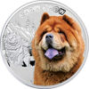 Picture of Серебряная монета "Чау - чау" серия "Лучшие друзья человека - собаки" 17,5 грамм