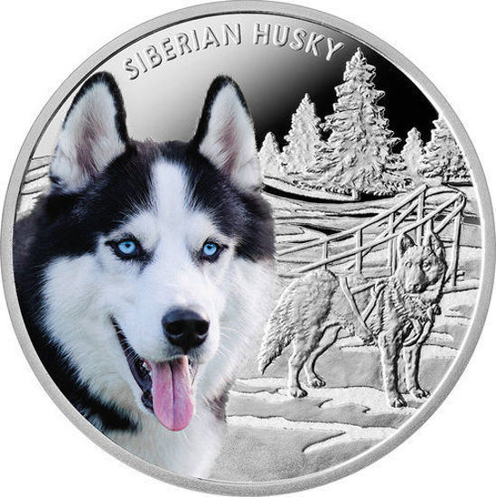 Picture of Срібна монета "Сибірська Хаскі" серія "Кращі друзі людини - собаки" 17,50 грам