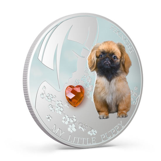 Picture of Срібна монета "Пекінес" 31,1 грам Фіджі 2013