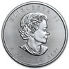 Picture of Срібна монета «Канадський кленовий лист» 31.1 грам 2021 р.