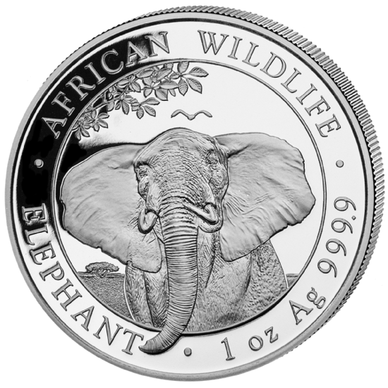 Picture of Слон - 2021 серия "Африканская Дикая Природа" 31,1 грамм 2021