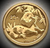 Picture of Золотая  монета "Китайская Панда" 1,555 грамм 2007 г.