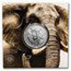 Picture of Слон срібна монета серії "Велика п'ятірка" 31,1 грам, Південна Африка 2021р.