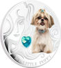 Picture of Серебряная монета "Мой маленький щенок - Ши-тцу" 31.1 грамм