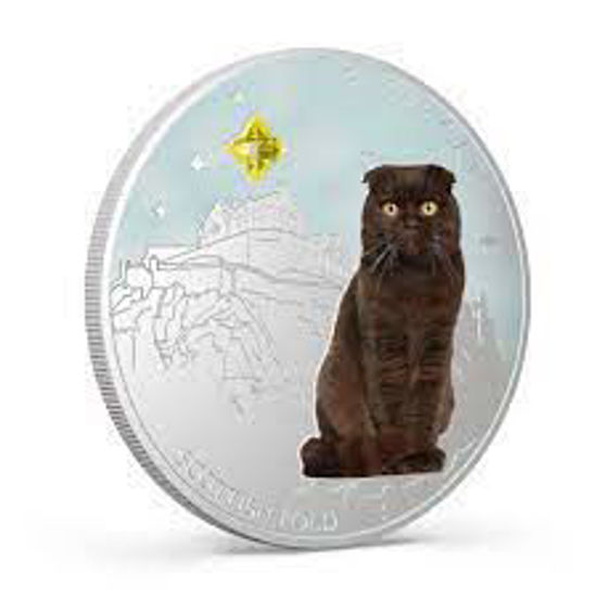 Picture of Серебряная монета "Супер кот - Скоттиш фолд" 31.1 грамм