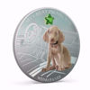 Picture of Срібна монета "Мій великий захисник - Веймаранера" 31.1 грам