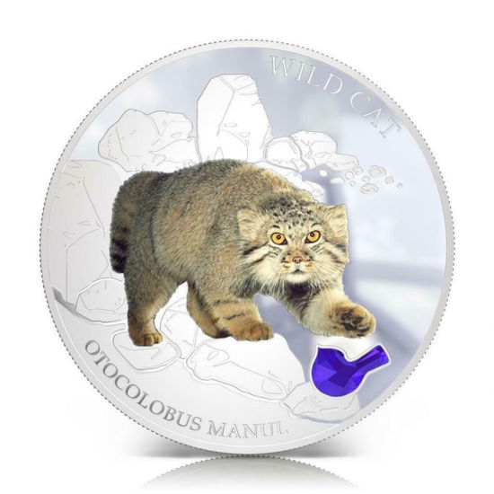 Picture of Срібна монета "Дикий кіт - Манул" 31.1 грам