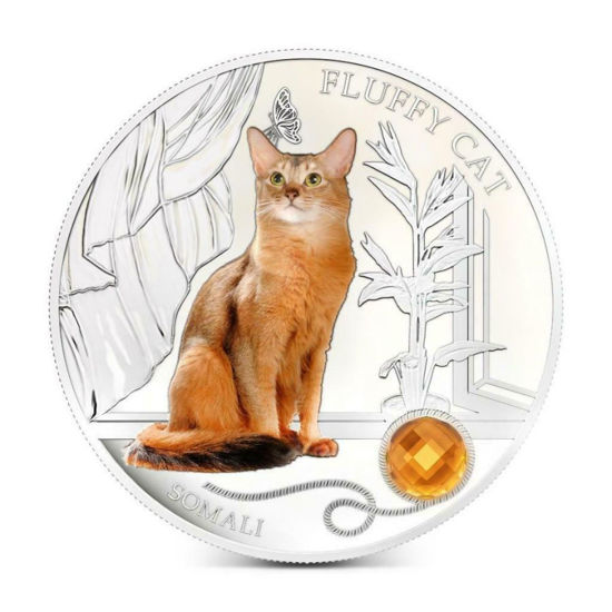 Picture of Серебряная монета "Пушистый кот - Сомалийский" 31.1 грамм