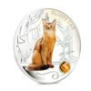 Picture of Срібна монета "Пухнастий кіт - Сомалійський" 31.1 грам