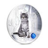 Picture of Серебряная монета "Пушистый кот - Американский керл" 31.1 грамм