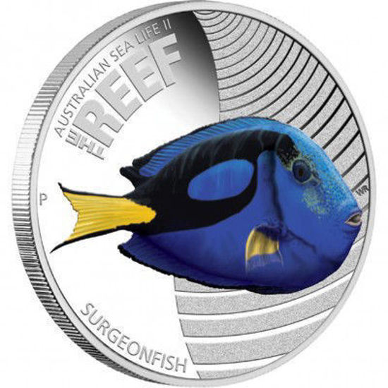 Picture of Серебряная монета "Рыба Голубой хирург"  15.55 грамм  Австралия  2012