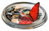 Picture of Серебряная монета серии Экзотические бабочки "Cymothoe Hobarti" 31.1 грамм 2016 г.