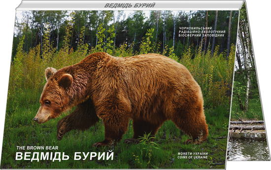 Picture of Пам'ятна монета "Чорнобиль. Відродження. Ведмідь бурий" у сувенірній упаковці, нейзильбер, 2022
