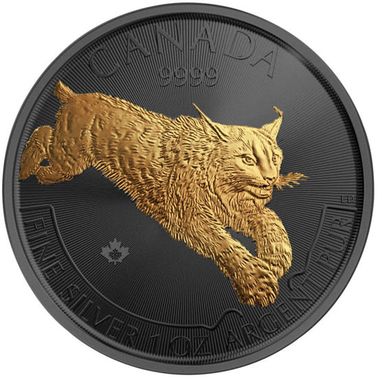 Picture of Срібна монета "Рись" (Gold Black Empire Edition) 31,1 грам