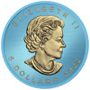 Picture of Серебряная монета Кленовый лист "Ежик" 31,1 грамм, 2022 год Канада