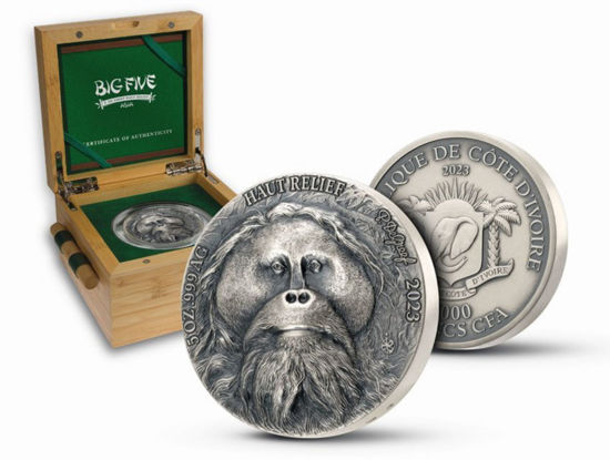 Picture of Срібна монета "Орангутан" із серії "Велика п'ятірка" 155,5 грам 2023 рік