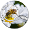 Picture of Срібна монета "Бджола з лінзою" 17,5 грам, 2020 рік