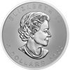 Picture of Серебряная монета "Канадский кленовый лист - Декабрь" из серии "Времена года" 31,1 грамм, 2022 год