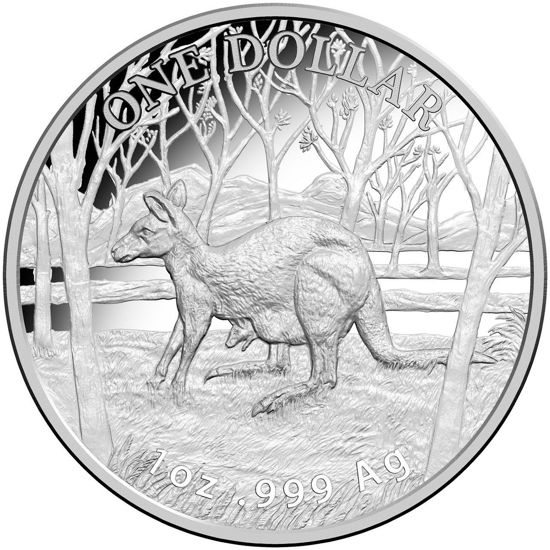 Picture of Серебряная монета "Кенгуру" 31,1 грамм, 2016 год