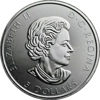 Picture of Серебряная монета "Канада 150 лет" 31,1 грамм, 2017 год