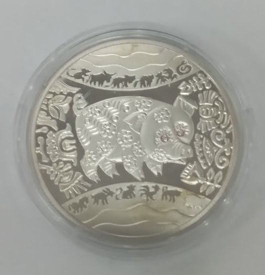 Picture of Акція!!!!Пам'ятна монета "Рік Свині (Кабана)"