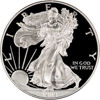 Picture of 1 $ долар США Американський Срібний Орел PROOF 31,1 грам, 1989 рік