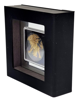 Picture of Серебряная монета "Ревущий Лев" 31,1 грамм (Gold Black Empire Edition)